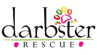 darbster rescue|darbster dog adoption.